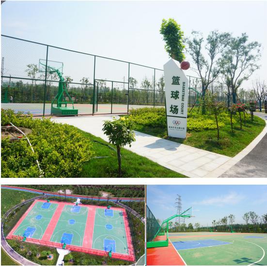 无锡民盟多支部联合市老体协开展端午主题健康茶会(图1)